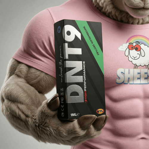 High Performance DNT-9 - Watermelon Zkittlez - 1ml